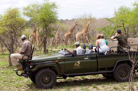 Djuma Game Reserve - A Day on Safari